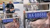 霸气！大爷三轮车挂牌“吉A88888” 走街串巷引围观