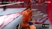 WWE·2019地狱牢笼大赛