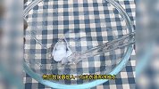 用洗洁精做起泡胶：用家里简单材料，制作超级好玩的水晶起泡胶！