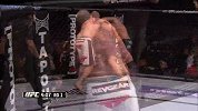 UFC-15年-UFC Fight Night 76自由格斗：罗瑟威尔vs肖布-专题