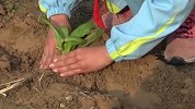 “菜园子”进校园？西安一小学开垦荒地供学生种菜