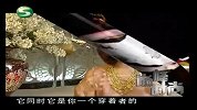 巅峰时尚-20111016-郭培给宋祖英高级定制的唯美往事