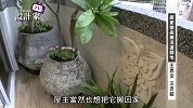设计家TV-第76集 居家变身乐活度假宅-1