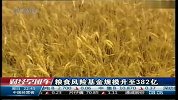 粮食风险基金规模升至382亿