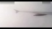 不可思议目击事件：实拍从飞机旁掠过的飞碟