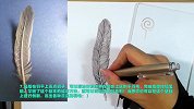 牛人OY手绘教程：羽毛的画法！