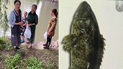 高考生家长相约放生活鱼 这波操作使不得