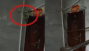 吓人！两米长大蛇盘旋家门口 业主不敢进屋忙报警