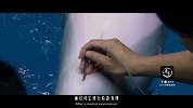 20170811-神奇之手救海豚-看鉴地理91集