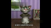 咆哮TOM猫之“痛苦的求职者”