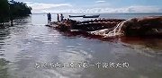 海面漂浮30米长的庞然大物，专家查看后，却命令马上撤离！