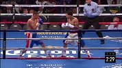 UFC-17年-跨界大战：IBF青年轻量级冠军赛戴维斯VS丰塞卡-全场