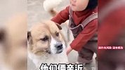 熊孩子和宠物互坑名场面，狗子一脸无辜的看着人类幼崽，求放过