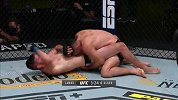 UFC格斗之夜175：里卡多-拉马斯VS阿尔吉欧