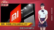 雷军旗下企业被中止审核，小米系上市为什么这么难？
