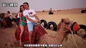 为什么沙漠中死掉的骆驼，渴死也别去碰？看完后你就明白了