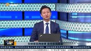 波段密码透析市场走势