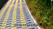 网友骑行遇百米“减速带长廊”，如电钻震麻手臂！真相引网友吵翻