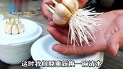 点外卖的一次性塑料盒别扔！往塑料盒里装点水，就能种植出大蒜