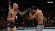 UFC格斗之夜161：卡布-斯旺森VS科伦-格雷西