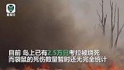 澳大利亚袋鼠岛一半被烧！专家：山火后恢复生态需100年