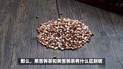 苦荞茶大揭秘-黑苦荞与黄苦荞，该如何选择？