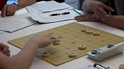 棋牌-15年-南北对抗大师云集  楚汉之争难分伯仲-新闻
