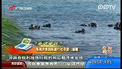 海南导游被指强迫游客交千元酒店钥匙费