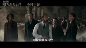 神奇动物：邓布利多之谜(五大看点解锁久违魔法冒险之旅)