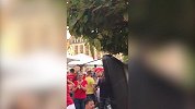 比利时球迷有多嗨皮 鲁汶老城人山人海集体庆祝