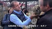 老虎宝宝跟人合影，一看是个男的立刻翻脸了，下一秒请忍住别笑