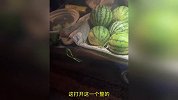 女子买瓜质疑老板“反向抹零”当场不买，老板：只买一半影响销售
