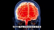 深海鱼油真的可以预防心脑血管疾病吗？医生：揭秘深海鱼油的真相