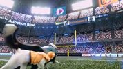NFL-1415赛季-季后赛-超级碗-2015超级碗广告露西宠物基金会 萌宠Q出新高度-新闻