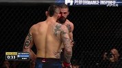 UFC-17年-UFC on FOX 26综述：安乔斯一致判定胜 劳勒或拿挑战权-新闻