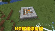 玩家造超迷你房屋，4X4大小放置无数东西，地下结构震撼