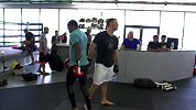 UFC-17年-UFC终极斗士第25季决赛倒计时：迈克尔约翰逊vs加瑟基对战前瞻-专题
