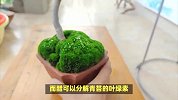 教你青苔怎么去除最简单方法