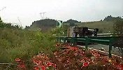 运西瓜货车高速侧翻3人被困 村民闻讯赶来不施救忙捡西瓜