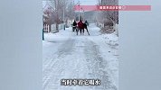 男子试图制服受惊小马，却被架着在结冰路面“并驾齐驱”