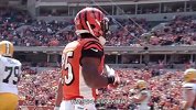 NFL-1516赛季-常规赛-第10周-辛辛那提猛虎的通向第50届超级碗之路-专题