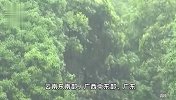 强对流＋暴雨中央气象台双预警齐发！多地有10级雷暴大风，请注意防范