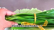 保存韭菜千万不要直接放冰箱！教你一招放10天叶不黄根不烂很实用
