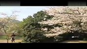 旅游-杭州太子湾公园赏樱