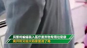家中闯进蝙蝠后大妈一通“神操作” 警察赶到现场后傻眼