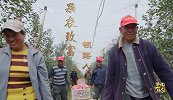 【非凡匠人】果农致富领路人
