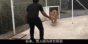 相隔6年未见，狮子一眼就认出了救命恩人，场面何其感人！