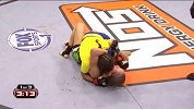 UFC-17年-UFC ON FOX 23自由格斗：佩尼娅vs拉科西-专题