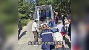 女子大连旅游被梅花鹿撞倒头部缝针：它突然冲过来，我没招惹它！
