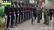 厉害了word姐！  企鹅竟被授予爵士视察军队